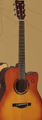 Long & McQuade YAMAHA TAG3C SDB offer