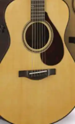 Long & McQuade YAMAHA FG9R/FS9R GUITARS SERIES offer