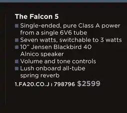 Long & McQuade GIBSON THE FALCON 5 AMPLIFIERS offer