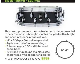 Long & McQuade MAPEX BLACK PANTHER-EQUINOX offer