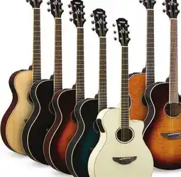 Long & McQuade YAMAHA FG9 SERIES APX600 offer