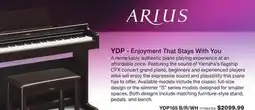 Long & McQuade ARIUS YDP - Enjoyment That Stays With You offer