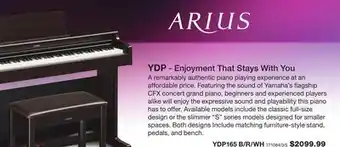 Long & McQuade ARIUS YDP - Enjoyment That Stays With You offer