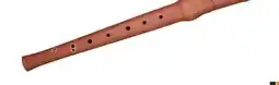Long & McQuade CARLTON 2-PIECE SOPRANO PEARWOOD RECORDERS offer