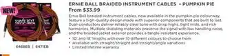Long & McQuade ERNIE BALL BRAIDED INSTRUMENT CABLES-PUMPKIN PIE offer