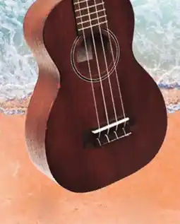 Long & McQuade LEHO MAHOGANY SOPRANO offer