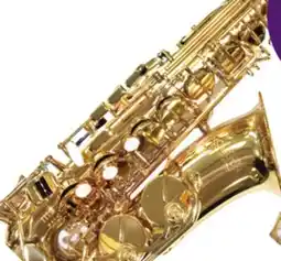 Long & McQuade CARLTON ALTO SAXOPHONE offer