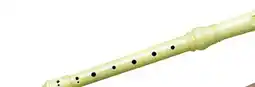 Long & McQuade CARLTON BAROQUE/GERMAN PLASTIC RECORDERS offer