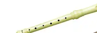 Long & McQuade CARLTON BAROQUE/GERMAN PLASTIC RECORDERS offer
