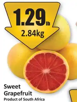 Starsky Sweet Grapefruit offer