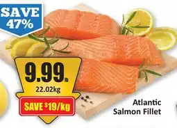 Starsky Atlantic Salmon Fillet offer