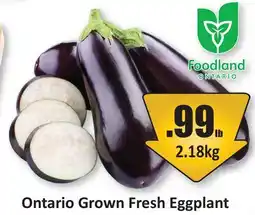 Starsky Ontario Grown Fresh Eggplant offer