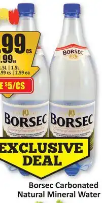 Starsky Borsec Carbonated Natural Mineral Water offer