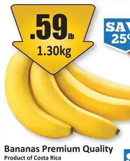Starsky Bananas Premium Quality offer