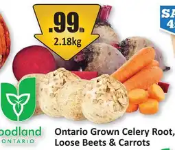 Starsky Ontario Grown Celery Root, Loose Beets & Carrots offer