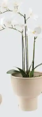 JYSK CASPER Vase offer