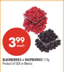 Shoppers Drug Mart BLACKBERRIES or RASPBERRIES offer