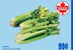 Wholesale Club Celery offer