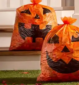 Walmart Paq. de 2 sacs pour résidus de jardin offer
