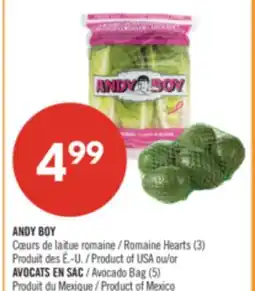 Pharmaprix ANDY BOY Romaine Hearts (3) Product of USA or Avocado Bag (5) Product of Mexico offer