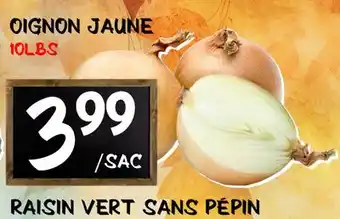 Marche Salaberry OIGNON JAUNE offer