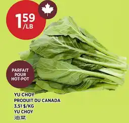 Kim Phat YU CHOY offer