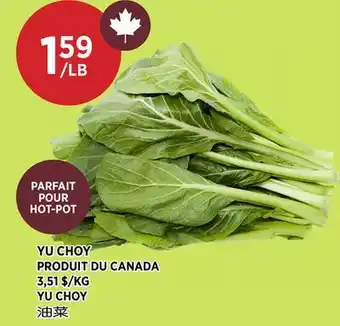 Kim Phat YU CHOY offer
