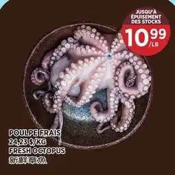 Kim Phat FRESH OCTOPUS offer