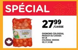Kim Phat COLOSSAL ONIONS offer