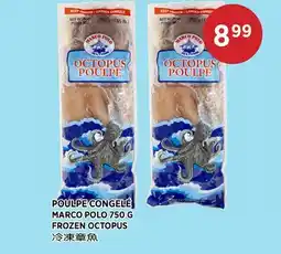 Kim Phat MARCO POLO FROZEN OCTOPUS offer