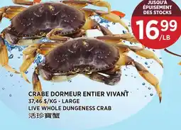 Kim Phat LARGE LIVE WHOLE DUNGENESS CRAB offer