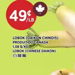 Kim Phat LOBOK (CHINESE DAIKON) offer
