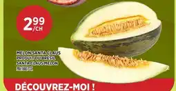 Kim Phat SANTA CLAUS MELON offer