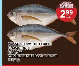 Kim Phat WHOLE FRESH YELLOW LEAF FISH offer