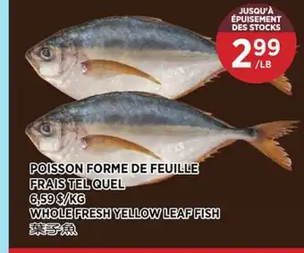 Kim Phat WHOLE FRESH YELLOW LEAF FISH offer
