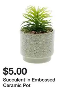 Dollarama Succulent in Embossed Ceramic Pot offer