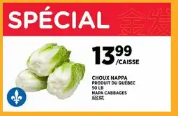 Kim Phat NAPA CABBAGES offer