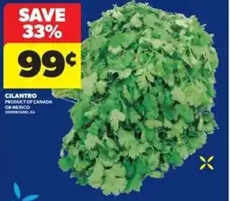 Real Canadian Superstore Cilantro offer