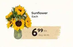 Marche Leo's Sunflower offer