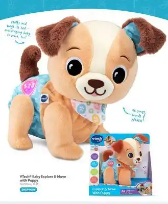Toys R us VTech Baby Explore & Move with Puppy offer
