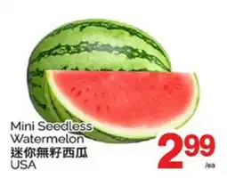 T&T Supermarket MINI SEEDLESS WATERMELON offer