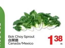 T&T Supermarket BOK CHOY SPROUT offer