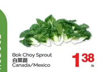 T&T Supermarket BOK CHOY SPROUT offer