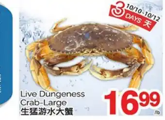 T&T Supermarket LIVE DUNGENESS CRAB - LARGE offer