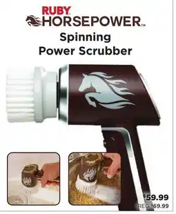 Showcase Spinning Power Scrubber offer