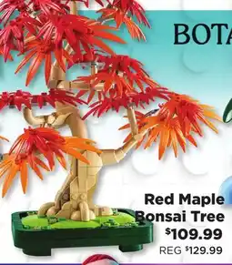 Showcase Red Maple Bonsai Tree offer