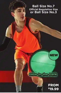 Showcase Ball Size No.7 Official Regulation Size or Ball Size No.3 offer