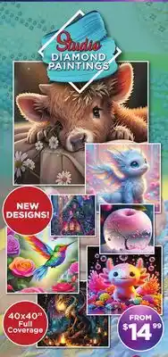 Showcase Studio DIAMOND PAINTINGS offer
