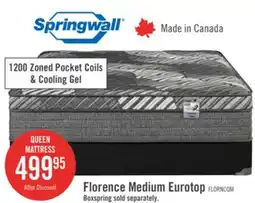 The Brick Springwall Florence Eurotop Medium King Mattress offer