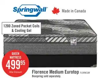 The Brick Springwall Florence Eurotop Medium King Mattress offer